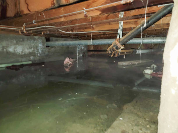 Best Water damage cleanup near me  in Bangor Base, WA