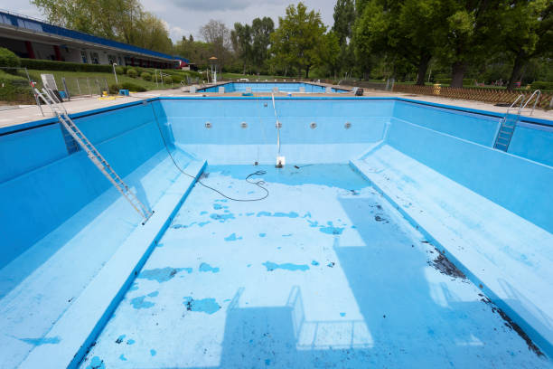 Best Professional water damage repair  in Bangor Base, WA
