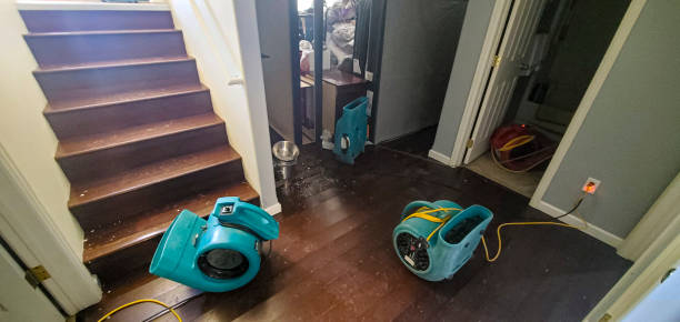 Best Water damage restoration near me  in Bangor Base, WA