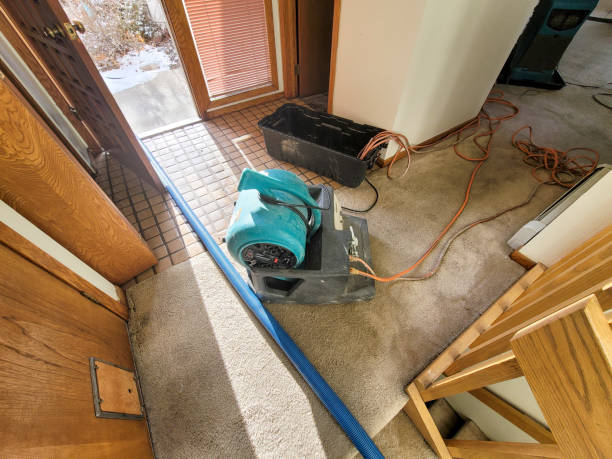 Sewage cleanup and water damage restoration in WA