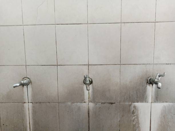 Best Water damage restoration near me  in Bangor Base, WA