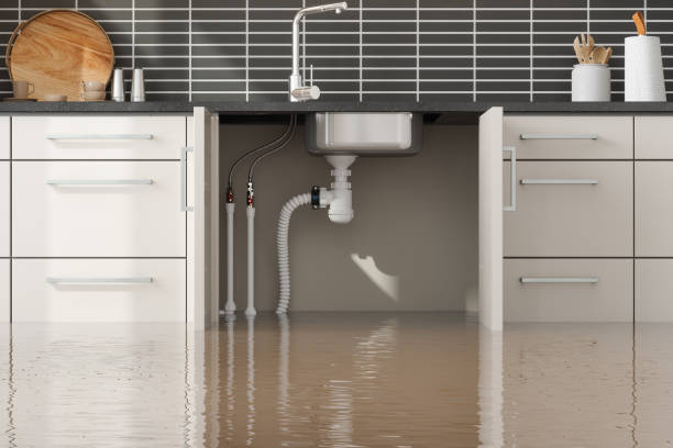 Best Ceiling water damage repair  in Bangor Base, WA