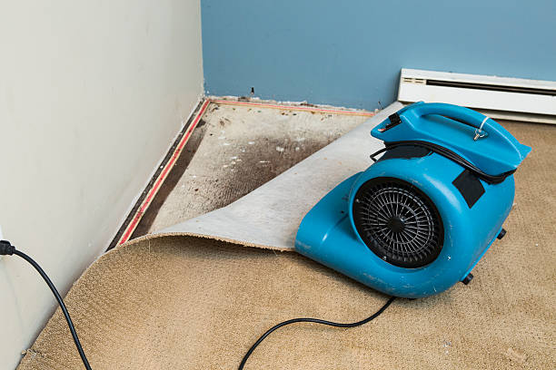 , WA Water damage restoration Company